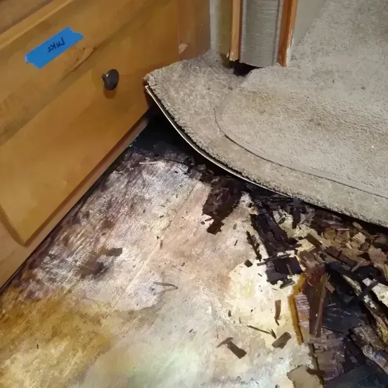 Wood Floor Water Damage in Osborne, KS